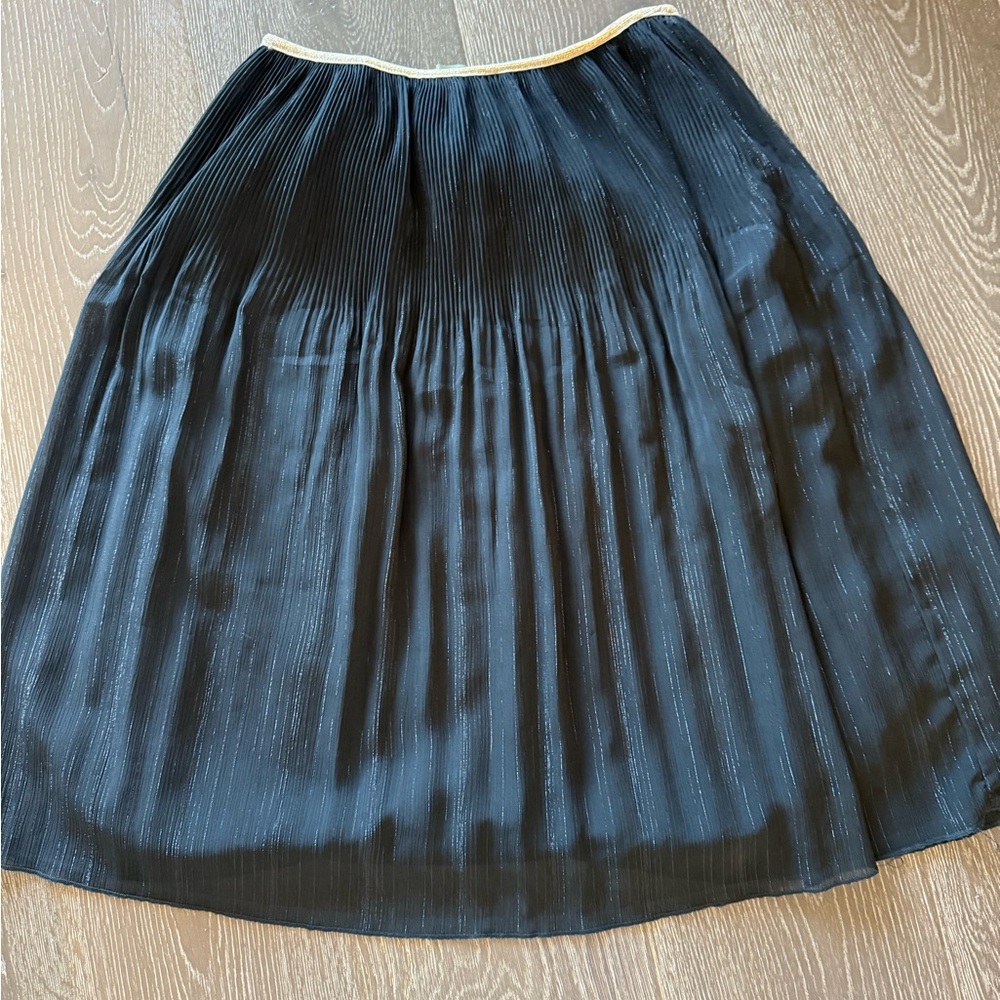 Elegant Black Pleated Skirt With Shimmery Gold Trimmings